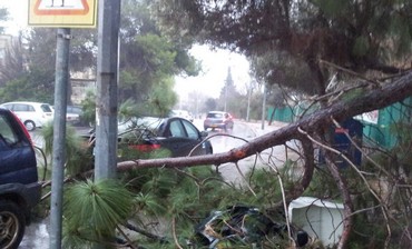 Storm damage in Mevasseret